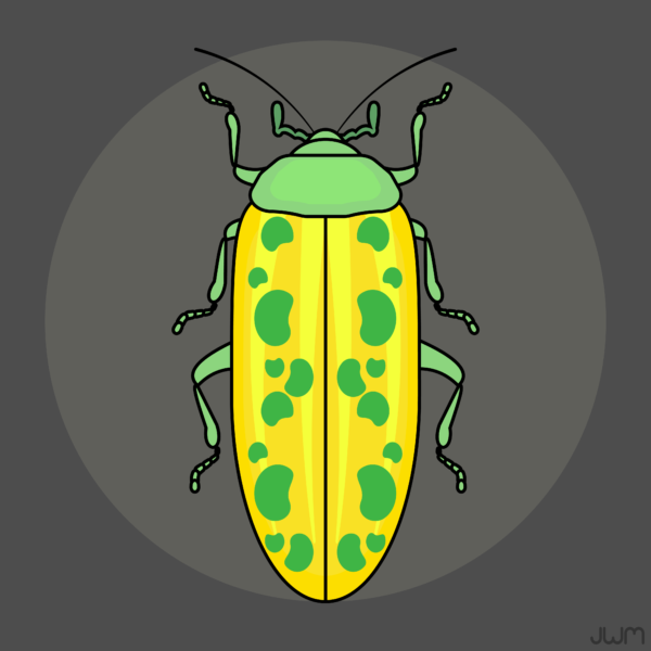 JWM3Bug Vector Pack