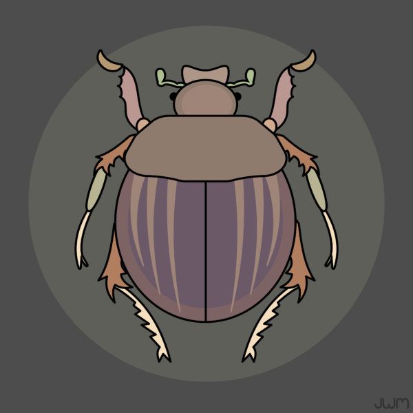 JWM3Bug Vector Pack4