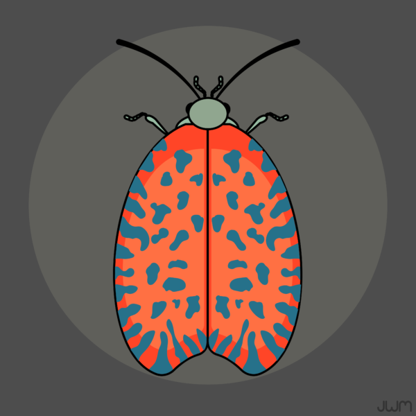 JWM3Bug Vector Pack5